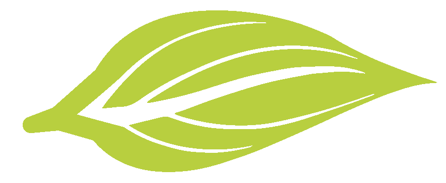 Blattwandlerin